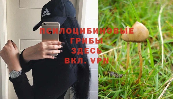 амф Балахна