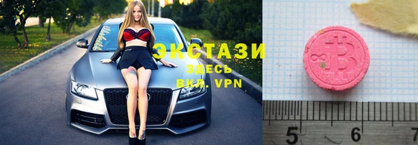индика Горняк